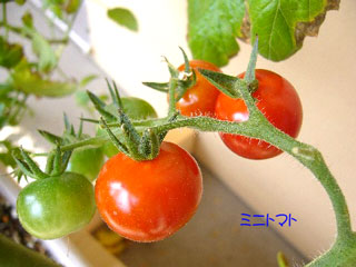 2006.6.27-002.jpg