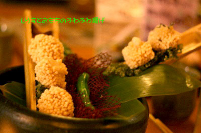 2007.11.11-061.jpg