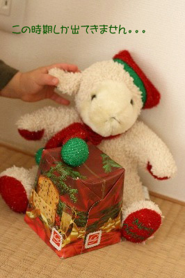 2007.12.23-014.jpg