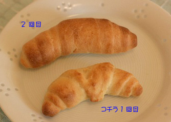 2008.01.28-006.jpg
