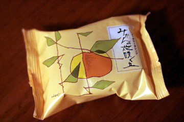 2008.02.28-003.jpg