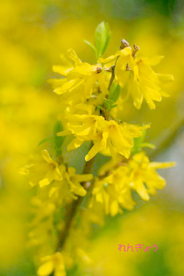 2008.03.23-062.jpg