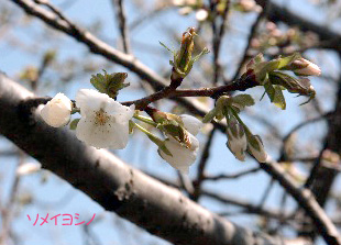2008.03.26-020.jpg