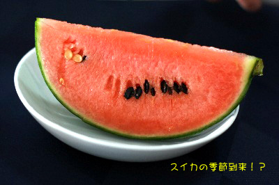 2008.05.02-018.jpg