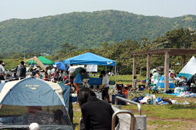2008.05.17-014.jpg