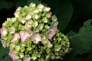 2008.06.07-010.jpg