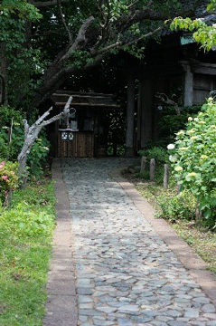 2008.06.07-014.jpg