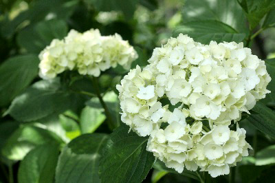 2008.06.07-018.jpg