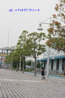 2008.06.15-003.jpg