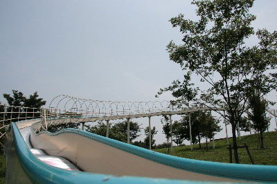 2008.07.06-069.jpg