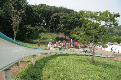 2008.07.06-070.jpg