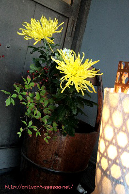 2008.11.09-012.jpg