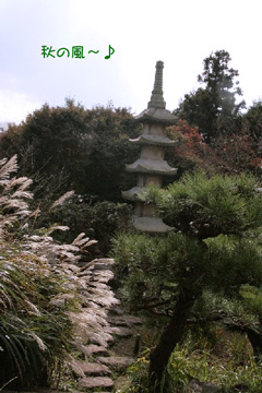 2008.11.23-012.jpg