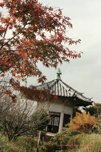 2008.11.23-022.jpg