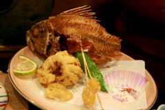 2008.11.23-161.jpg