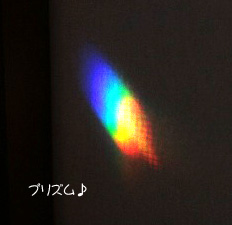 2009.01.03-018.jpg