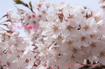 2009.04.05-115.jpg