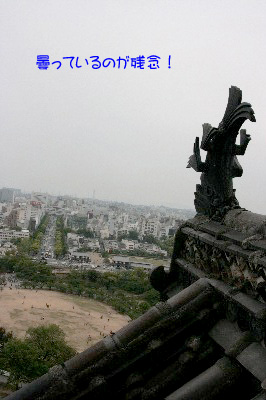 2009.05.02-281.jpg