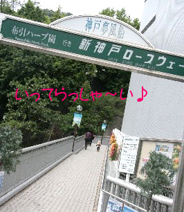2009.05.02-494.jpg