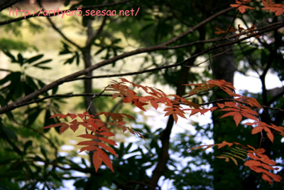 2009.08.18-074.jpg