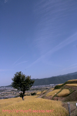 2009.09.21-191.jpg