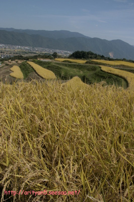 2009.09.21-218.jpg