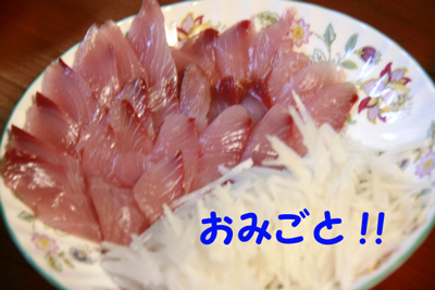 2009.10.08-153.jpg