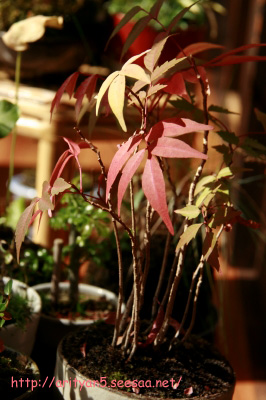 2009.10.12-004.jpg
