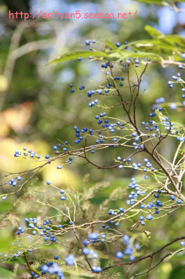 2009.10.12-028.jpg
