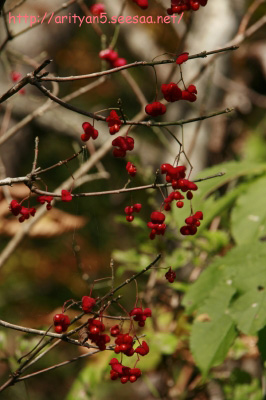 2009.10.12-048.jpg