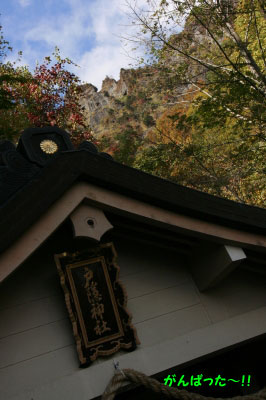 2009.10.12-053.jpg