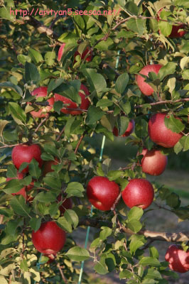 2009.10.12-123.jpg