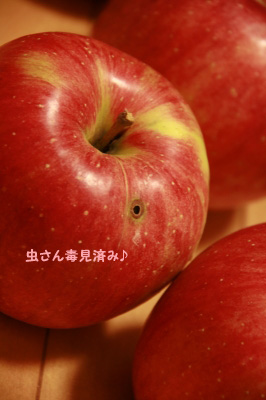 2009.10.12-172.jpg