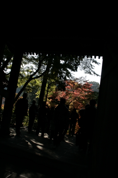 2009.11.21 057.jpg