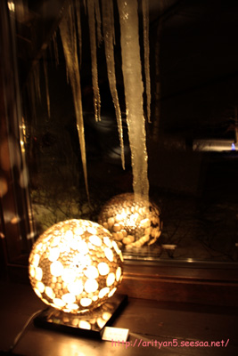 2010.01.11-035.jpg