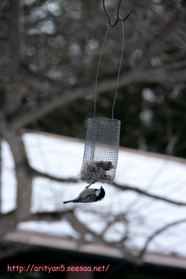 2010.01.11-114.jpg