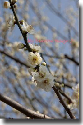 2010.02.14-207.jpg