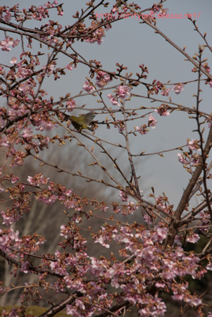 2010.02.14-211.jpg