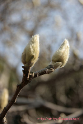 2010.02.14-218.jpg