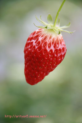 2010.02.16-160.jpg