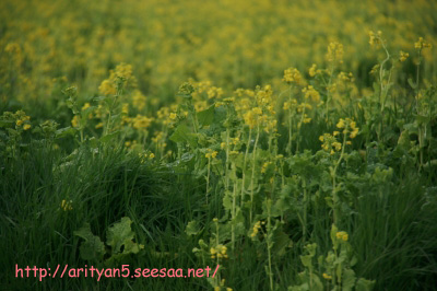 2010.02.16-175.jpg