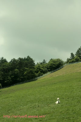 2010.08.03-Yatsugatake-005.jpg
