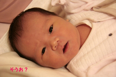 2011.01.23-011.jpg