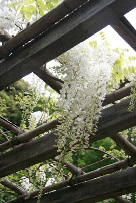 2011.05.05-090.jpg