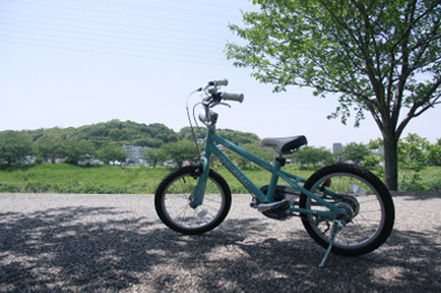 2011.05.13-0330.jpg