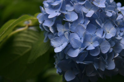 2011.06.19-002.jpg
