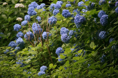 2011.06.19-004.jpg