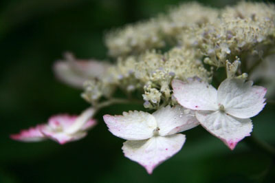 2011.06.19-007.jpg