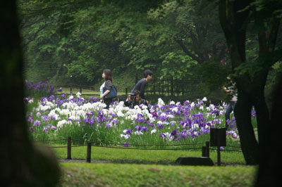 2011.06.19-014.jpg