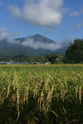 2011.09.21-003.jpg